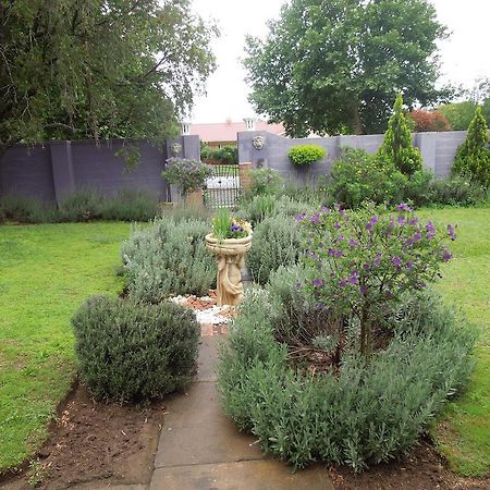 Lilac Lodge-Purple House Winterton Dış mekan fotoğraf